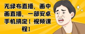无绿布直播,画中画直播,一部安卓手机搞定【视频课程】-墨痕微课