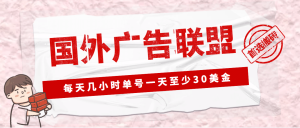 外面收费1980最新国外LEAD广告联盟搬砖项目,单号一天至少30美元(详细教程)-墨痕微课