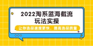 2022淘系蓝海截流玩法实操:让你选品速度更快,提高选品质量(价值599)-墨痕微课