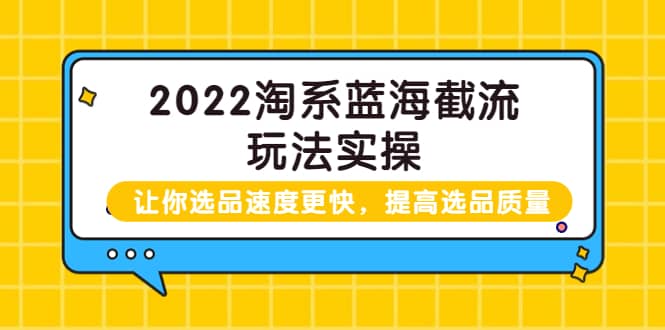 2022淘系蓝海截流玩法实操:让你选品速度更快,提高选品质量(价值599)-墨痕微课