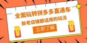 全面玩转拼多多直通车,新老店铺都适用的玩法(12节精华课)-墨痕微课