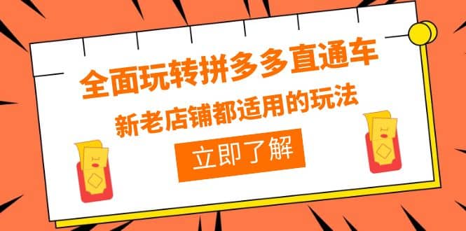 全面玩转拼多多直通车,新老店铺都适用的玩法(12节精华课)-墨痕微课