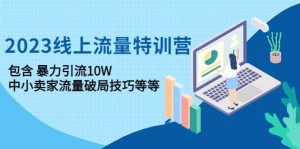 2023线上流量特训营:中小卖家流量破局技巧等等-墨痕微课