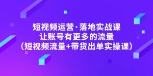 短视频运营·落地实战课 让账号有更多的流量(短视频流量 带货出单实操)-墨痕微课