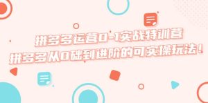 拼多多运营0-1实战特训营,拼多多从0础到进阶的可实操玩法-墨痕微课