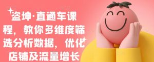 盗坤·直通车课程,教你多维度筛选分析数据,优化店铺及流量增长-墨痕微课