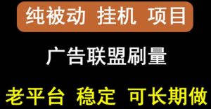 【稳定挂机】oneptp出海广告联盟挂机项目,每天躺赚几块钱,多台批量多赚些-墨痕微课