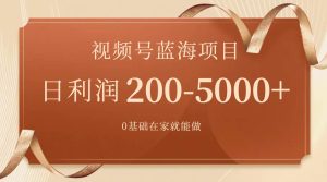 视频号蓝海项目,0基础在家也能做,一天200-5000 【附266G资料】-墨痕微课
