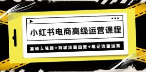 小红书电商高级运营课程:基础入驻篇 商城流量运营 笔记流量运营-墨痕微课