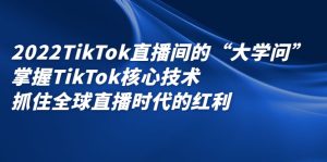 2022TikTok直播间的“大学问”,掌握TikTok核心技术,抓住全球直播时代的红利-墨痕微课
