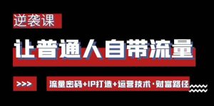 让普通人自带流量的逆袭课:流量密码 IP打造 运营技术·财富路径-墨痕微课