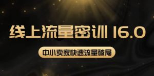 2022秋秋线上流量密训16.0:包含 暴力引流10W 中小卖家流量破局技巧 等等!-墨痕微课