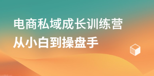 电商私域成长训练营,从小白到操盘手-墨痕微课