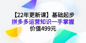 【22年更新课】基础起步,拼多多运营知识一手掌握,价值499元-墨痕微课