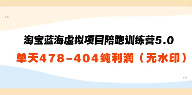 黄岛主：淘宝蓝海虚拟项目陪跑训练营5.0：单天478纯利润（无水印）-墨痕微课