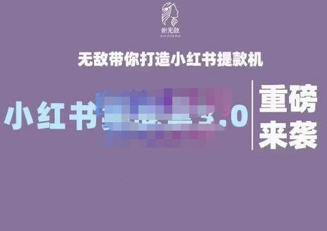 谢无敌·小红书实战营3.0，无敌带你打造小红书提款机 价值7999元-墨痕微课