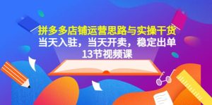 拼多多店铺运营思路与实操干货,当天入驻,当天开卖,稳定出单(13节课)-墨痕微课
