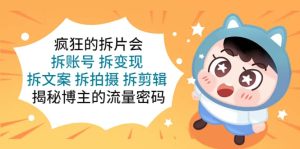 疯狂的拆片会:拆账号 拆变现 拆文案 拆拍摄 拆剪辑 揭秘博主的流量密码-墨痕微课