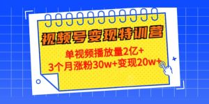 20天视频号变现特训营:单视频播放量2亿-墨痕微课