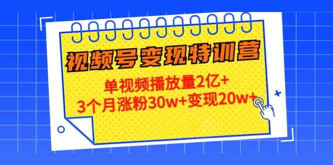 20天视频号变现特训营:单视频播放量2亿-墨痕微课