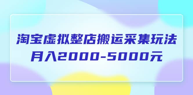 淘宝虚拟整店搬运采集玩法分享课：月入2000-5000元（5节课）-墨痕微课