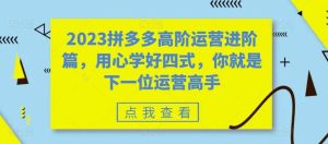 2023拼多多高阶运营进阶篇,用心学好四式,你就是下一位运营高手-墨痕微课