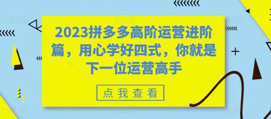 2023拼多多高阶运营进阶篇，用心学好四式，你就是下一位运营高手-墨痕微课