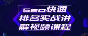 seo快速排名实战讲解视频课程,揭秘seo快排原理-墨痕微课