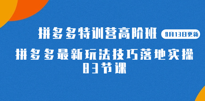 2023拼多多·特训营高阶班【9月13日更新】拼多多最新玩法技巧落地实操-83节-墨痕微课