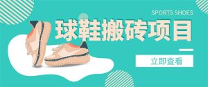 外面收费998的球鞋搬砖项目【详细教程 资源渠道】-墨痕微课