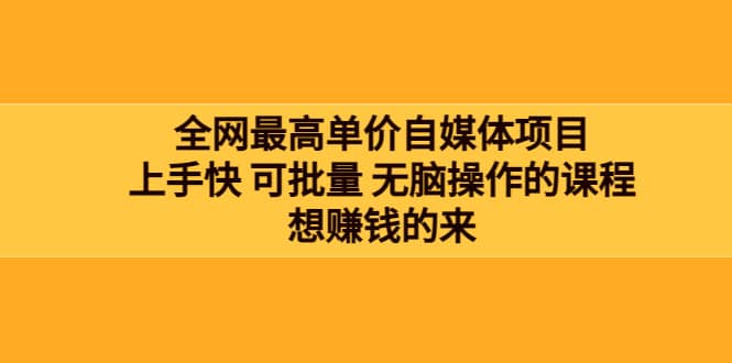 全网最单高价自媒体项目:上手快 可批量 无脑操作的课程,想赚钱的来-墨痕微课