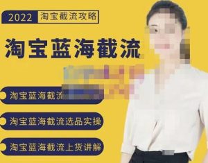 2022淘宝蓝海截流攻略,淘宝蓝海截流选品上货实操讲解-墨痕微课