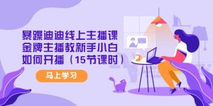 暴躁迪迪线上主播课，金牌主播教新手小白如何开播（15节课时）-墨痕微课