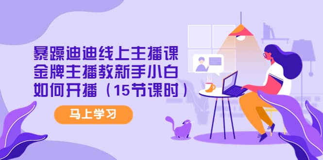 暴躁迪迪线上主播课，金牌主播教新手小白如何开播（15节课时）-墨痕微课