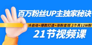 百万粉丝UP主独家秘诀：冷启动 爆款打造 涨粉变现2个月12W粉（21节视频课)-墨痕微课