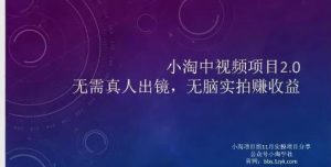 小淘项目组网赚永久会员,绝对是具有实操价值的,适合有项目做需要流程【持续更新】-墨痕微课