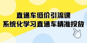 直通车-低价引流课,系统化学习直通车精准投放(14节课)-墨痕微课