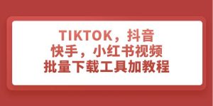 TIKTOK，抖音，快手，小红书视频批量下载工具加教程-墨痕微课