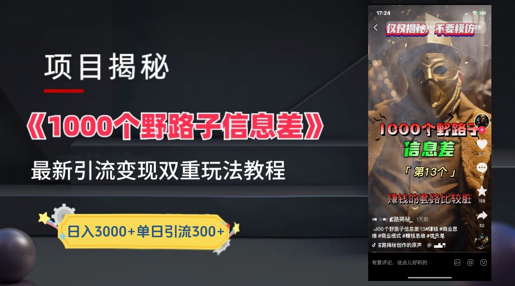 最新一千个野路子信息差玩法教程如何变现+引流的玩法具体拆解!!!-墨痕微课