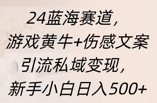 24蓝海赛道,游戏黄牛+伤感文案引流私域变现,新手日入500+-墨痕微课