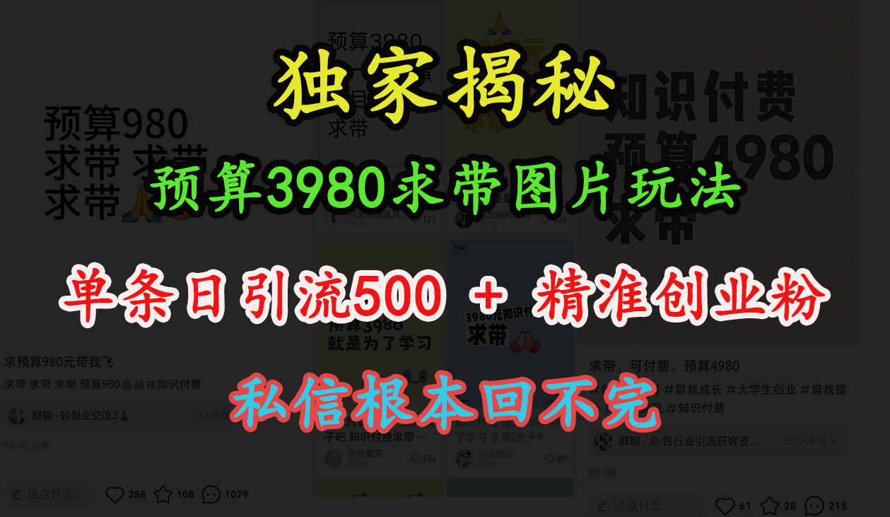 “小红书”预算3980求带 图片玩法,单条日引流500+精准创业粉,私信根本回不完-墨痕微课