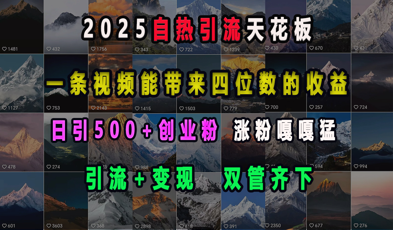 2025自热引流天花板,一条视频能带来四位数的收益,引流+变现双管齐下,日引500+创业粉,涨粉嘎嘎猛-墨痕微课