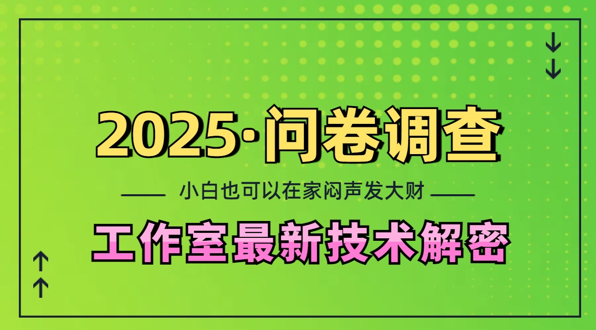 2025《问卷调查》最新工作室技术解密:一个人在家也可以闷声发大财,小白一天200+,可矩阵放大-墨痕微课
