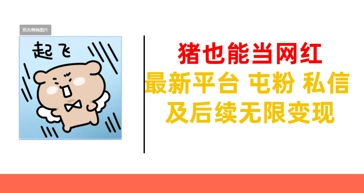 猪也能当网红-最新平台 屯粉 交流 私信 及后续无限变现-墨痕微课