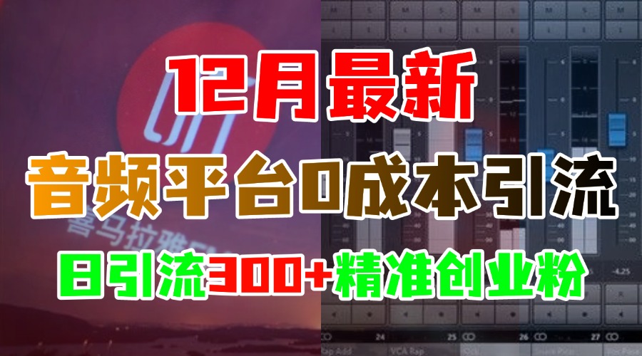 12月最新:音频平台0成本引流,日引300+精准创业粉-墨痕微课