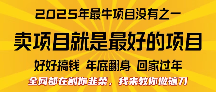 全网都在割你韭菜，我来教你做镰刀。卖项目就是最好的项目，2025年最牛互联网项目-墨痕微课