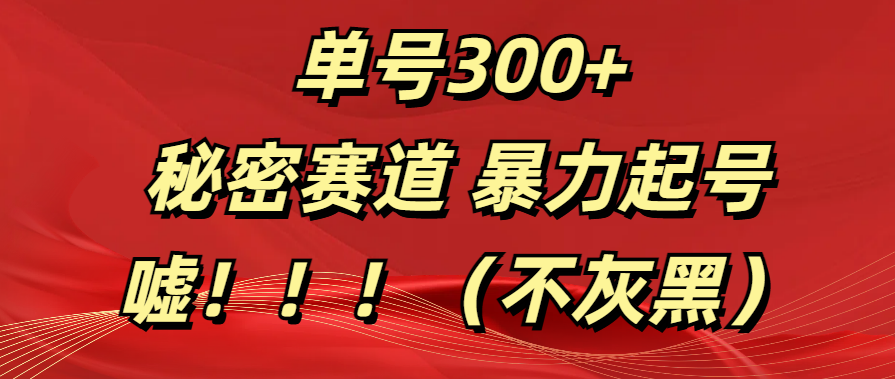 单号300+  秘密赛道 暴力起号  （不灰黑）-墨痕微课
