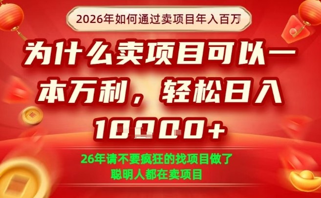 一单净利润1K+，26年想年入100个W，死磕卖项目就够了【揭秘】-墨痕微课