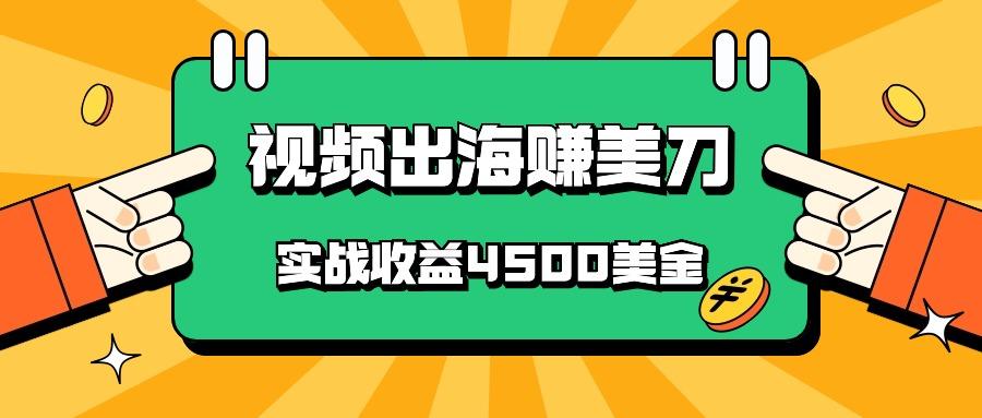 国内爆款视频出海赚美刀,实战收益4500美金,批量无脑搬运,无需经验直接上手-墨痕微课