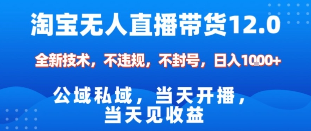 淘宝无人直播12.0，公域私域技术，不封号，不违规布局双十一流量风口，日入1k(独家技术)【揭秘】-墨痕微课